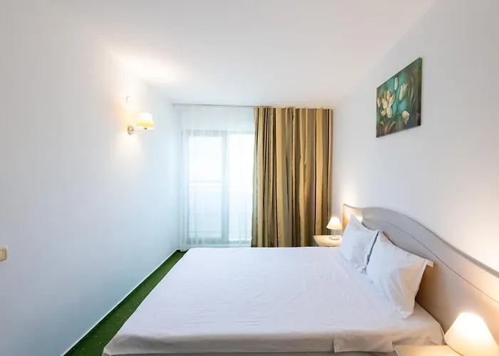 Complex Bran Brad Bega Hotell 3*