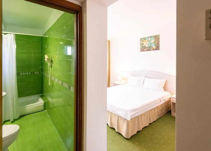 Complex Bran Brad Bega Hotell