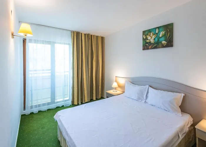 Hotell Complex Bran Brad Bega 3*