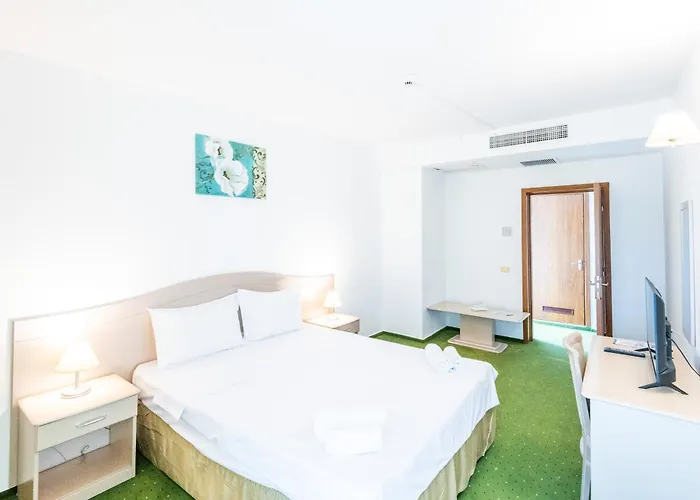 Complex Bran Brad Bega Hotell