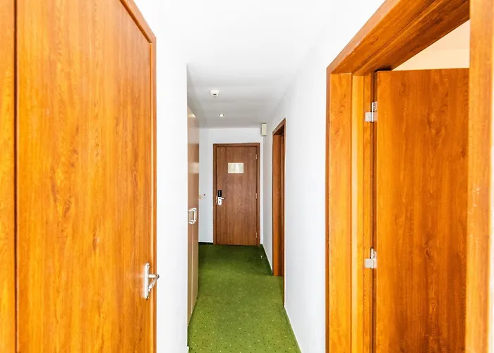 Hotell Complex Bran Brad Bega