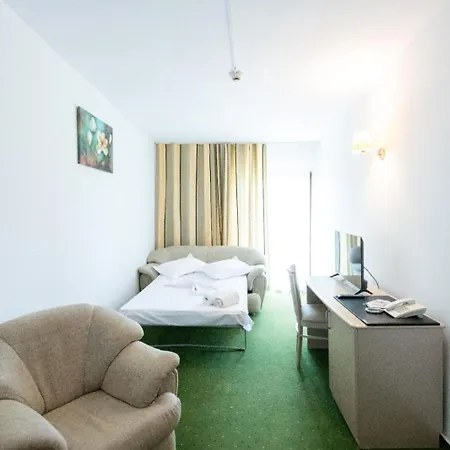 酒店 Complex Bran Brad Bega 3*