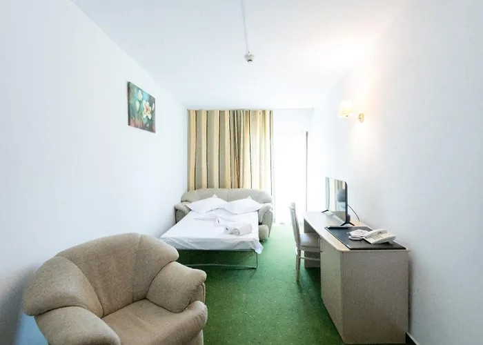 Hotel Complex Bran Brad Bega 3*