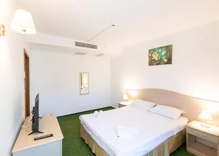 Hotel Complex Bran Brad Bega