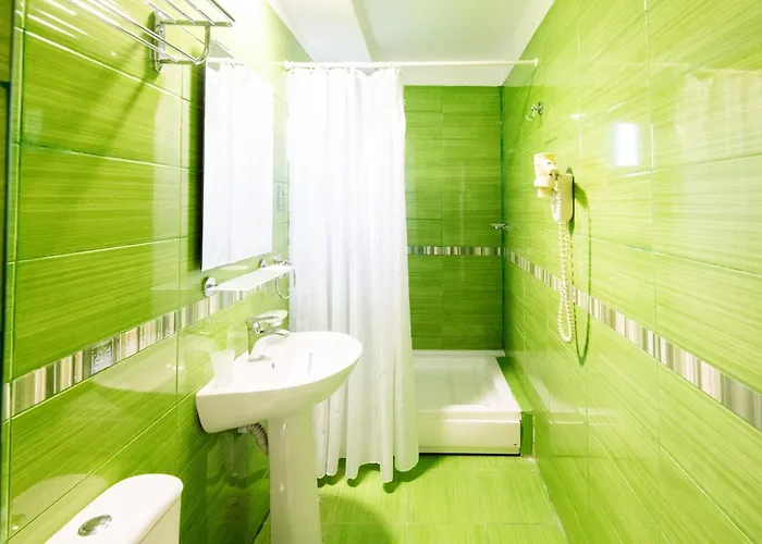 酒店 Complex Bran Brad Bega 艾福雷诺德