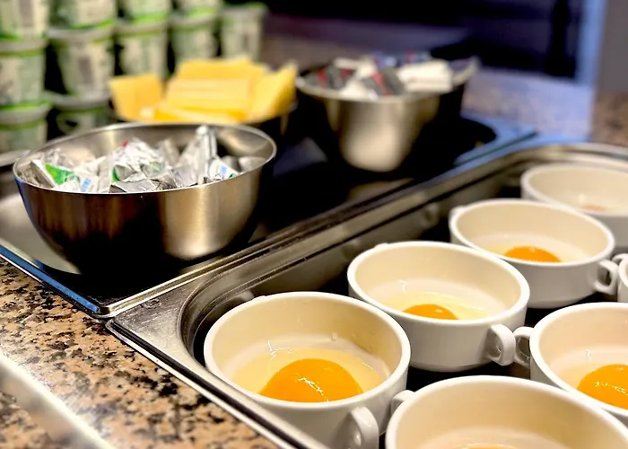 Complex Bran Brad Bega 艾福雷诺德